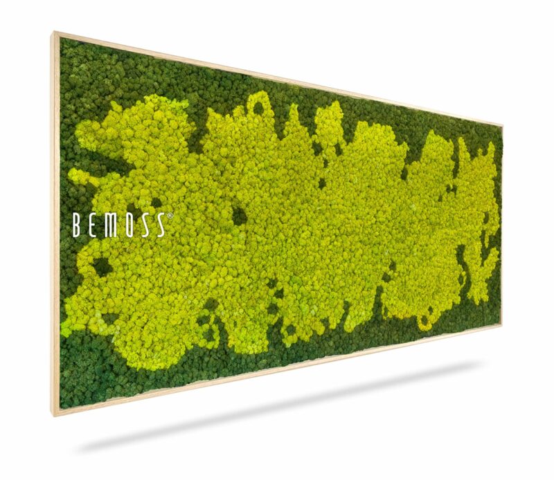 Moosbild BEMOSS® MARE