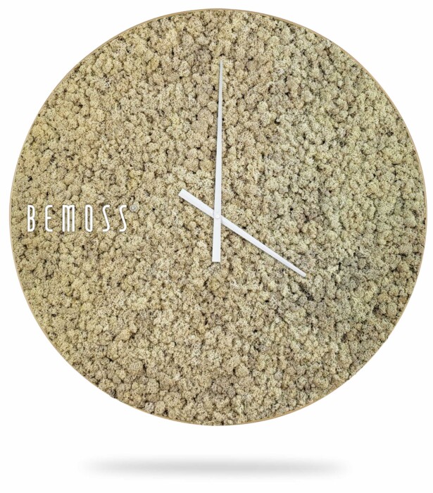 Eine Uhr mit der Aufschrift „Bemuss“ auf dem Zifferblatt und einem weißen Hintergrund mit einer weißen Linie, moosbild, mooswand, moos pflanzen, moos, moos deko, moos art