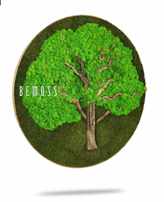 Ein grüner Baum mit der Aufschrift „Be Moss“ in Kreisform mit Gras und Blättern auf der Unterseite, moosbild, mooswand, moos pflanzen, moos, moos deko, moos art
