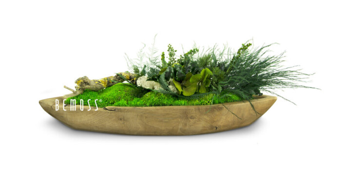 Eine mit grünen Pflanzen und Gras gefüllte Holzschale auf einer weißen Oberfläche mit einem Wort, das lautet, moosbild, mooswand, moos pflanzen, moos, moos deko, moos art