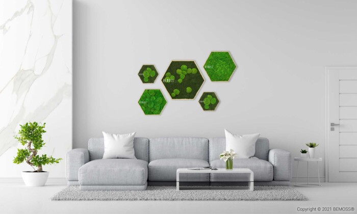 ein Wohnzimmer mit einer Couch und einem Tisch, darüber hängt eine grüne Wand und ein weißer Teppich, moosbild, mooswand, moos pflanzen, moos, moos deko, moos art