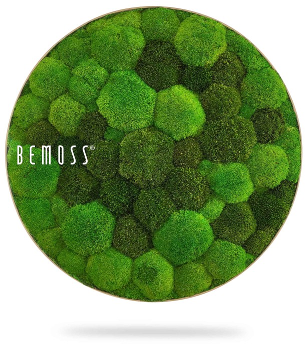ein runder Teller mit Moos darauf und der Aufschrift „Be Moss on it“ und einem weißen Hintergrund mit der Aufschrift „Be Moss“., moosbild, mooswand, moos pflanzen, moos, moos deko, moos art