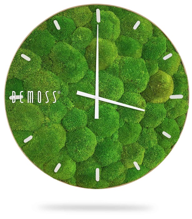 Eine Uhr, auf der Moos wächst und auf der in weißen Buchstaben auf weißem Hintergrund die Worte Moos stehen, moosbild, mooswand, moos pflanzen, moos, moos deko, moos art