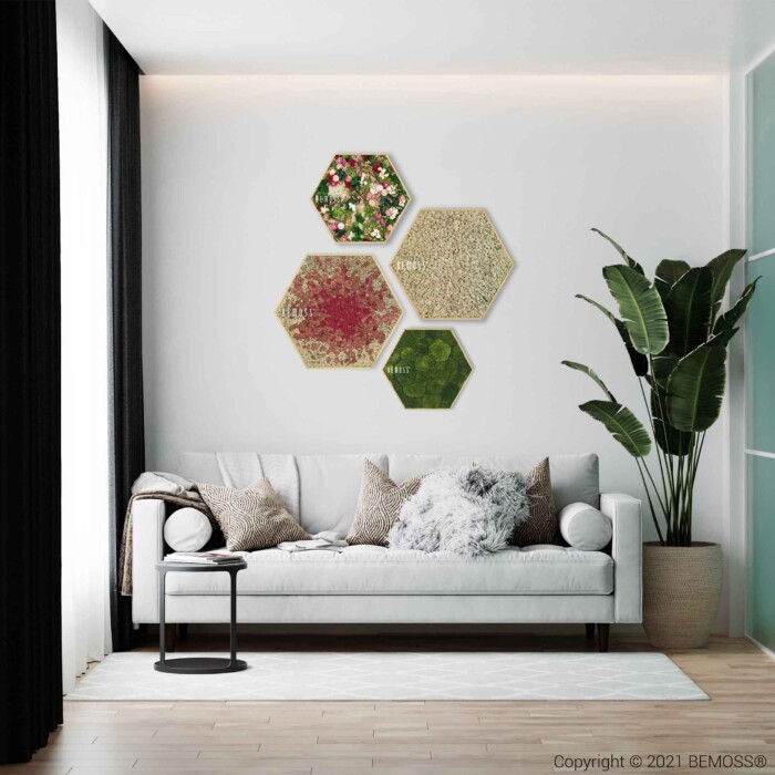 ein Wohnzimmer mit einer Couch und einer Pflanze darin und drei Sechsecken an der Wand, moosbild, mooswand, moos pflanzen, moos, moos deko, moos art