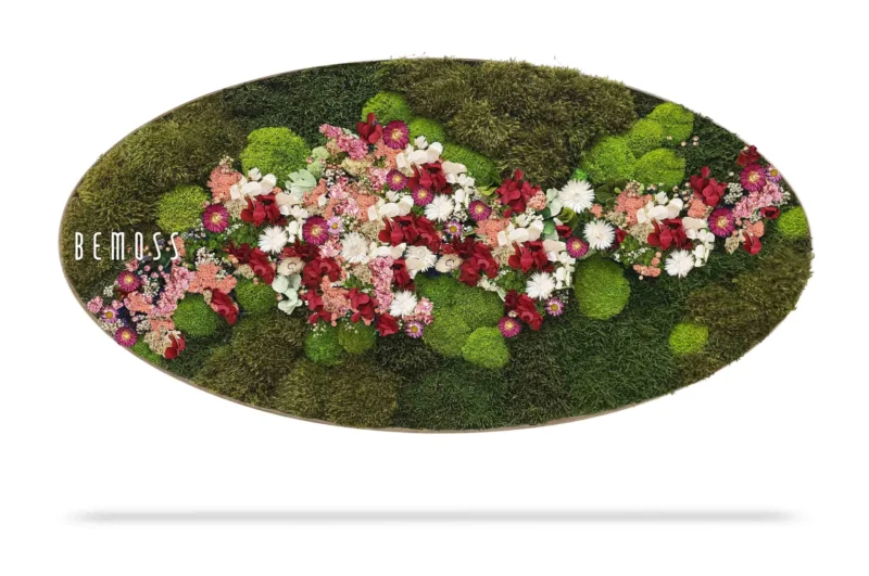Moosbild Ellipse PFLANZEN Acebo PINK
