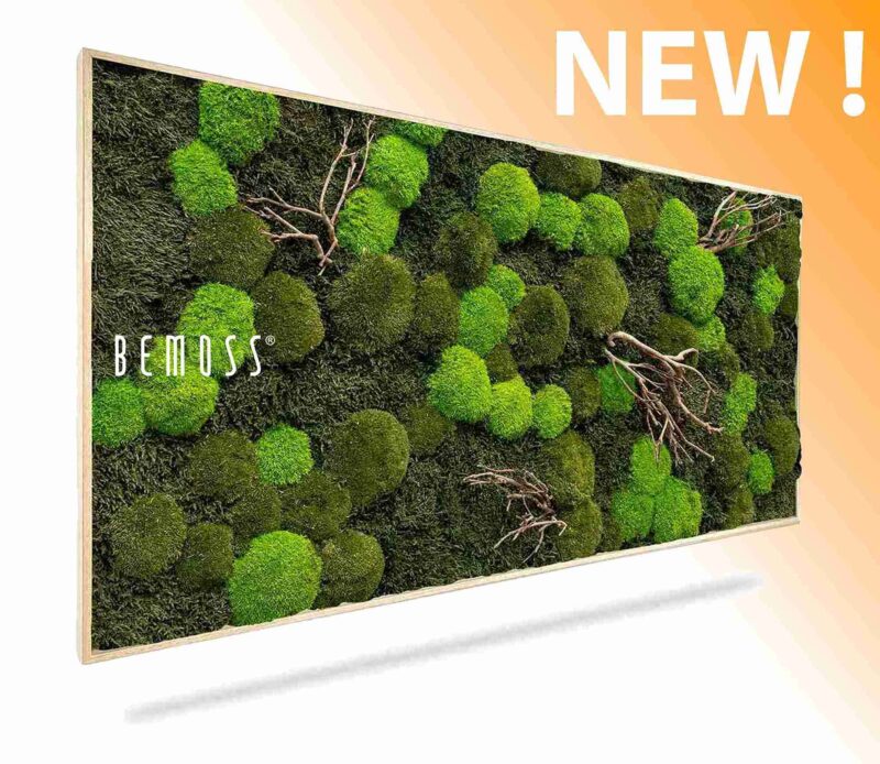 Moosbild FLACHMOOS & KUGELMOOS Doven WOOD