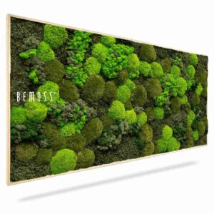 Moosbild BEMOSS® ORTHO DOVEN - Thumbnail Image 1