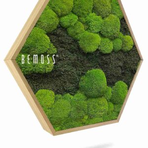 Moosbild Hexagon FLACHMOOS & KUGELMOOS DUO Light Green - Thumbnail Image 1