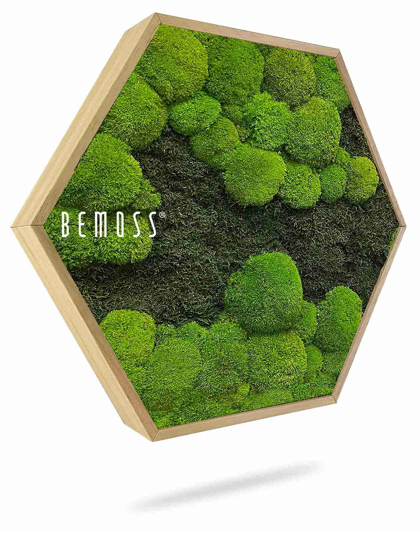 Moosbild Hexagon FLACHMOOS & KUGELMOOS DUO Light Green – Bild 1