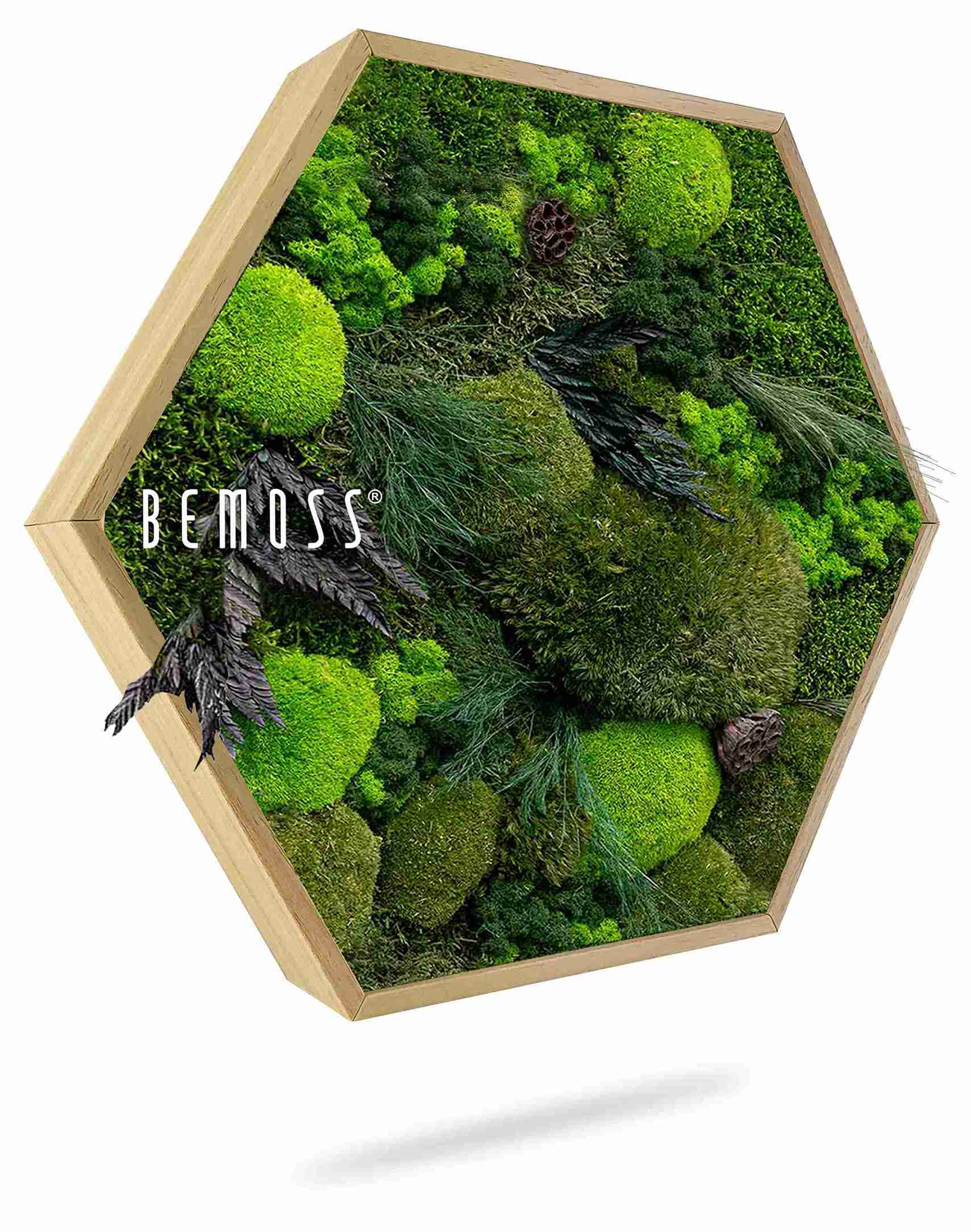 Moosbild Hexagon PFLANZEN Amar – Bild 1