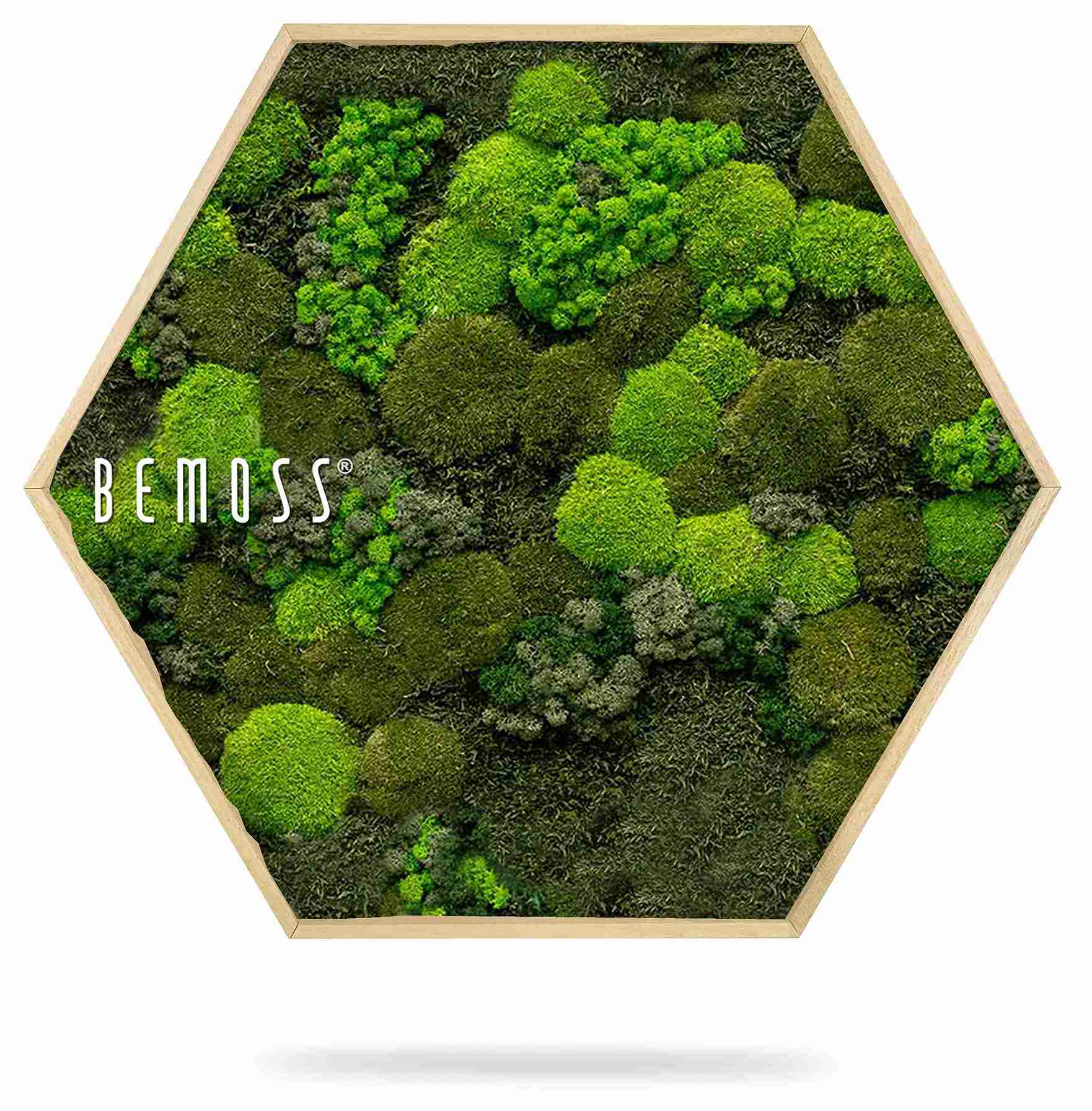 Moosbild Hexagon BEMOSS® ORTHO DOVEN – Bild 2
