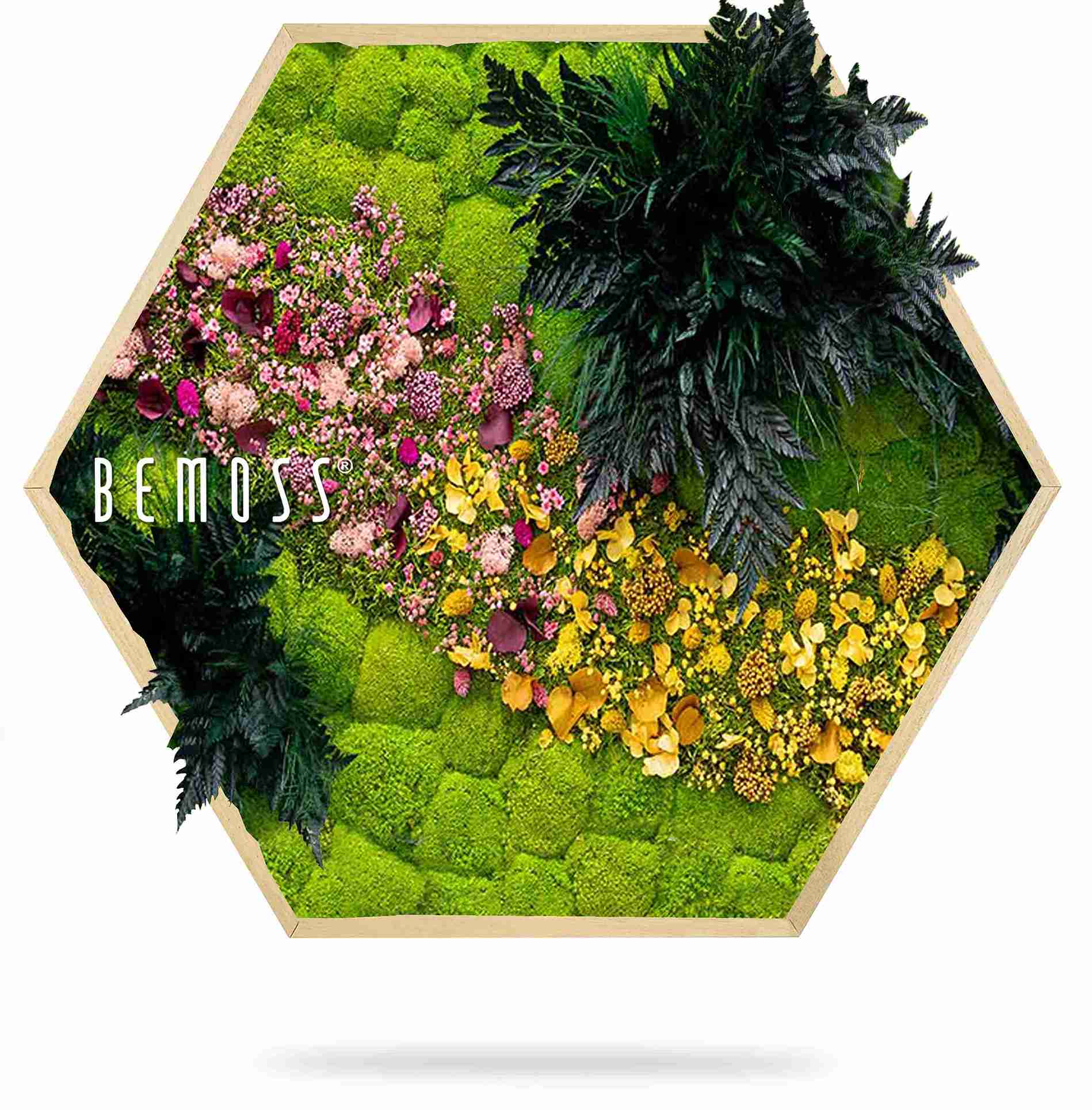 Moosbild Hexagon PFLANZEN Cornella – Bild 2