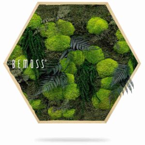 Moosbild Hexagon PFLANZEN Varex - Thumbnail Image 2
