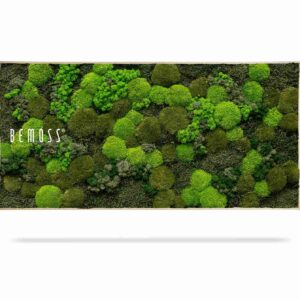 Moosbild BEMOSS® ORTHO DOVEN - Thumbnail Image 2