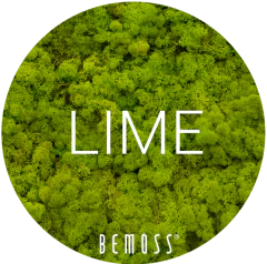 4 Lime