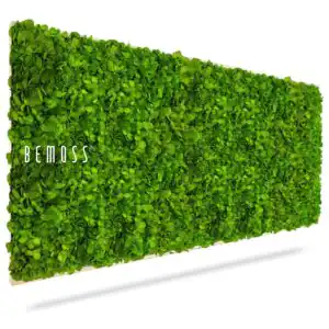 Moosbild BEMOSS® MIMI  40x40cm Weißer Rahmen - Thumbnail Image 1