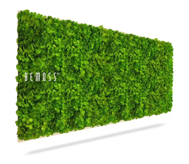 Moosbild BEMOSS® MIMI