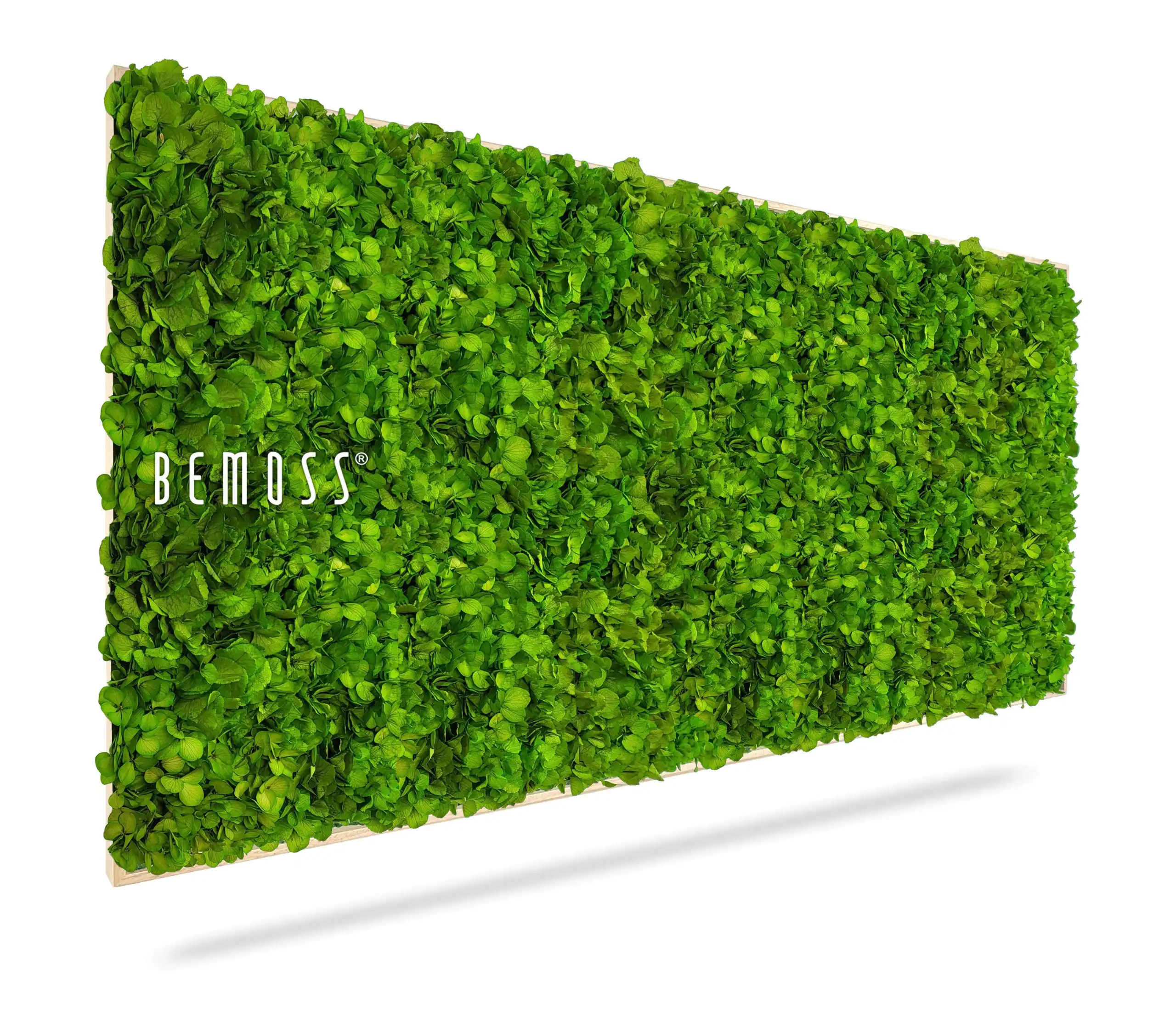 Moosbild BEMOSS® MIMI  40x40cm Weißer Rahmen – Bild 1