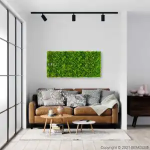 Moosbild BEMOSS® MIMI  40x40cm Weißer Rahmen - Thumbnail Image 2