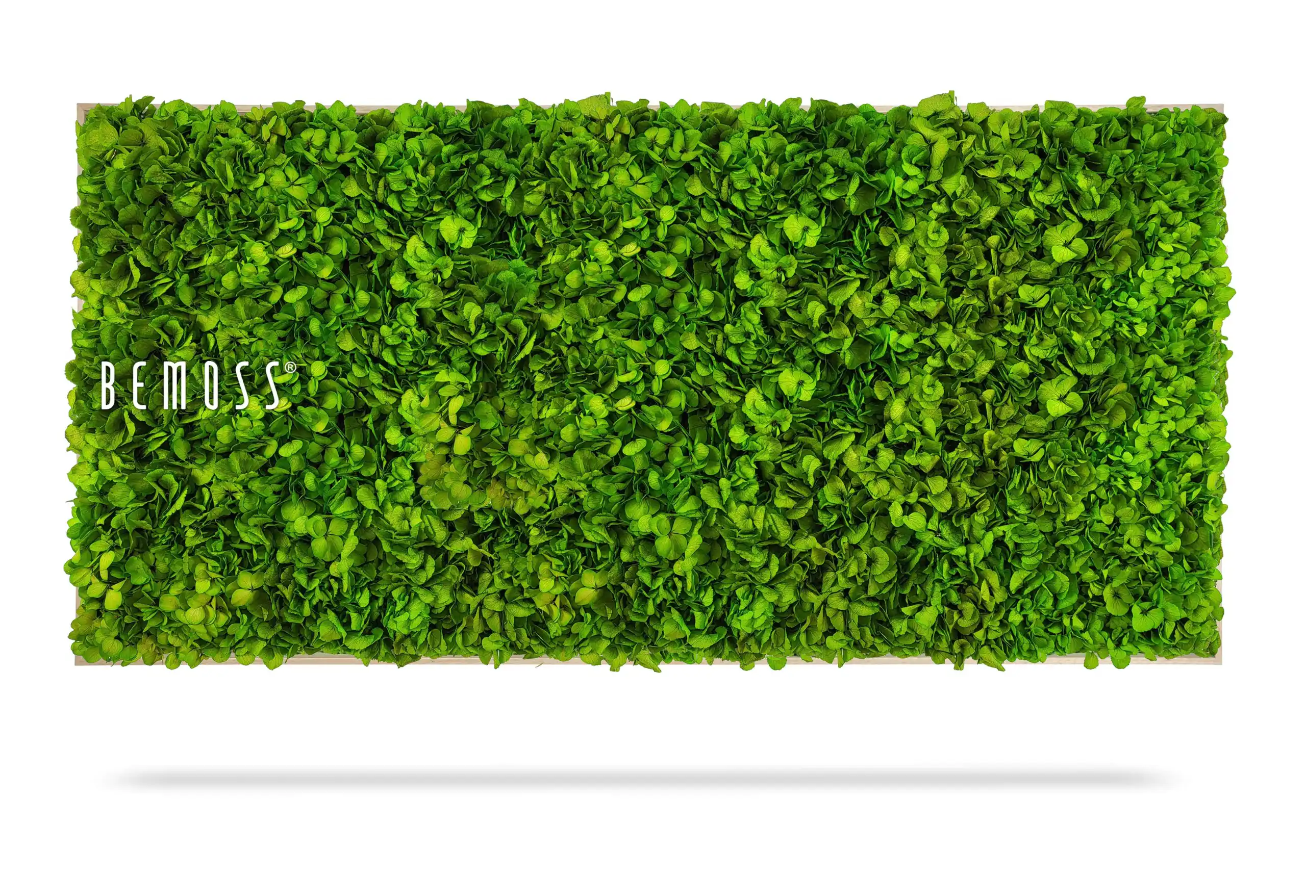 Moosbild BEMOSS® MIMI  40x40cm Weißer Rahmen – Bild 3