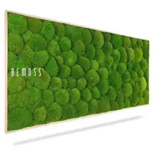 Moosbild KUGELMOOS Light Green