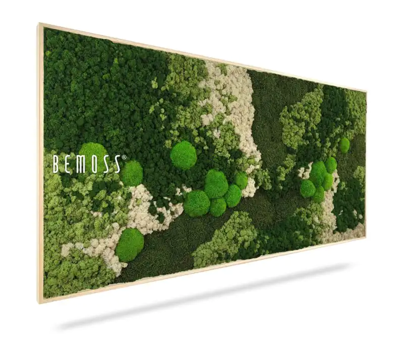 Moosbild BEMOSS® ORTHO FOREST
