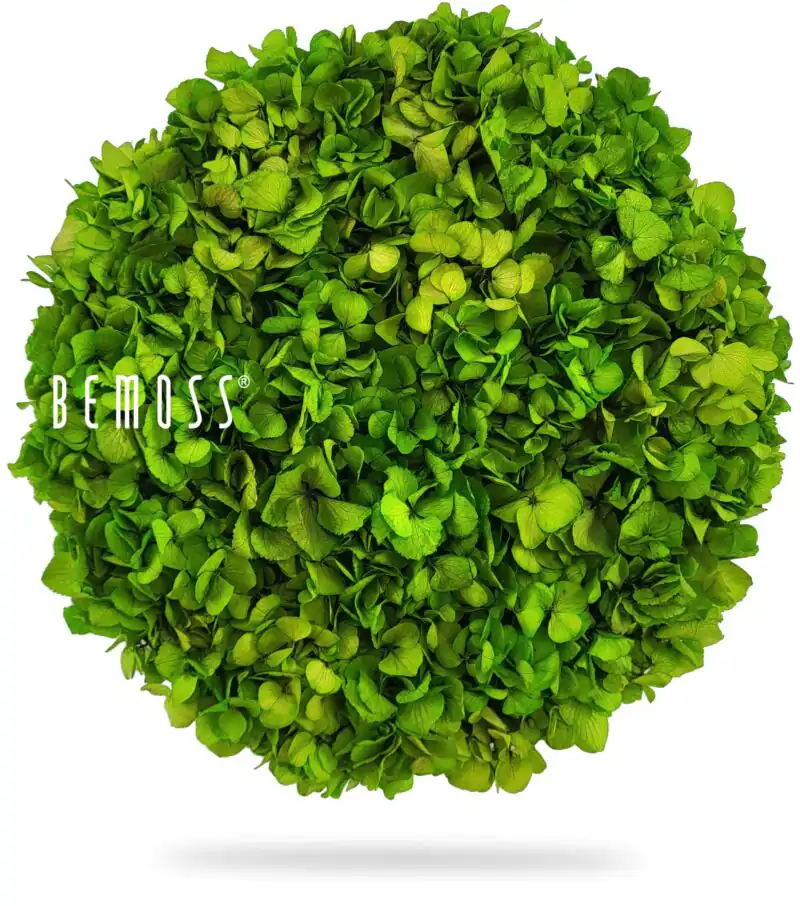 okrúhly ker s listami na bielom pozadí s nápisom be moss napísaným bielou cez vrch, ekologické umenie , machovy obraz, stabilizovany mach, machová stena, machová dekorácia
