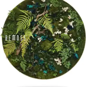 tanier s rastlinou a slovom s nápisom bemox, mozaika , machovy obraz, stabilizovany mach, machová stena, machová dekorácia