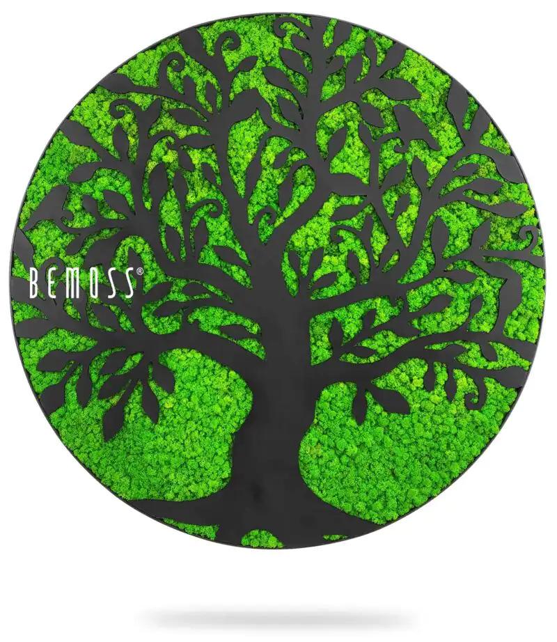 zelený strom s nápisom bemusss napísaným bielym písmom na čiernom pozadí s bielym pozadím, environmentálne umenie , machovy obraz, stabilizovany mach, machová stena, machová dekorácia