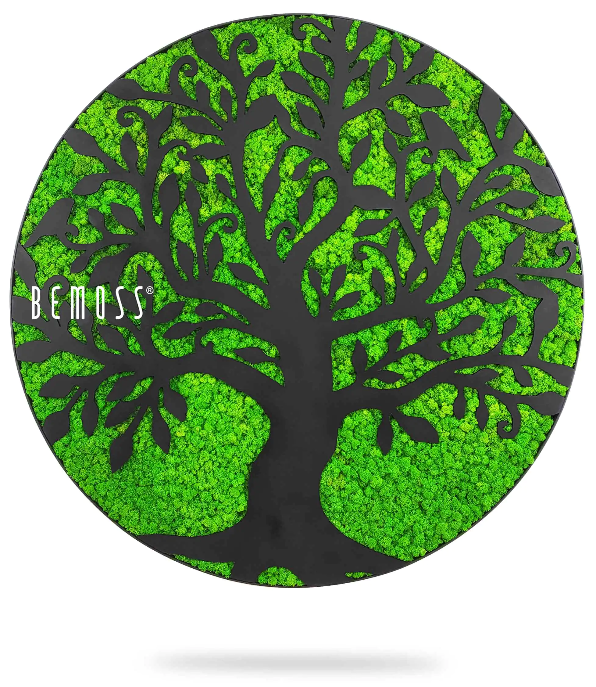 zelený strom s nápisom bemusss napísaným bielym písmom na čiernom pozadí s bielym pozadím, environmentálne umenie , machovy obraz, stabilizovany mach, machová stena, machová dekorácia