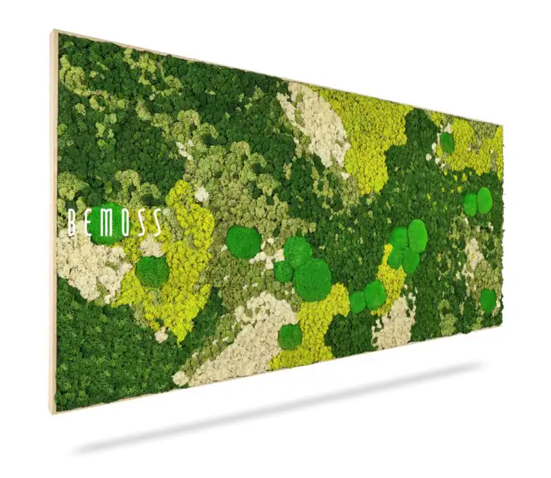 Moosbild BEMOSS® ORTHO SPRING