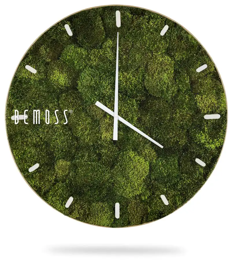 hodiny, na ktorých rastie mach, na ktorých je bielymi písmenami na ciferníku nápis mech machovy obraz, stabilizovany mach, machová stena, machová dekorácia