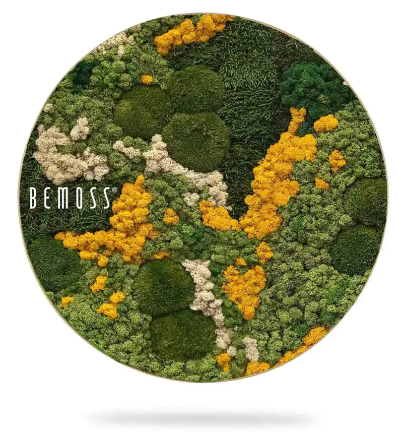 Moosbild Rund BEMOSS® ORTHO YELLOW