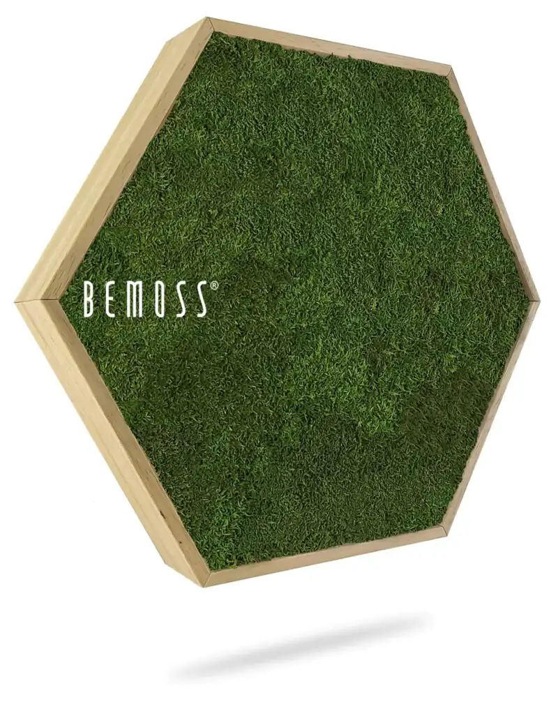 Moosbild Hexagon FLACHMOOS