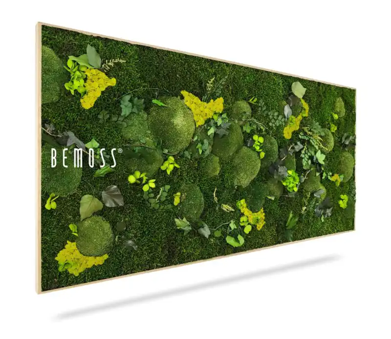 Moosbild PFLANZEN Mesia Lime