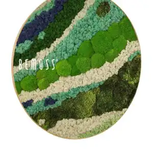 Moosbild Rund BEMOSS® ORTHO SWIRL - Thumbnail Image 3