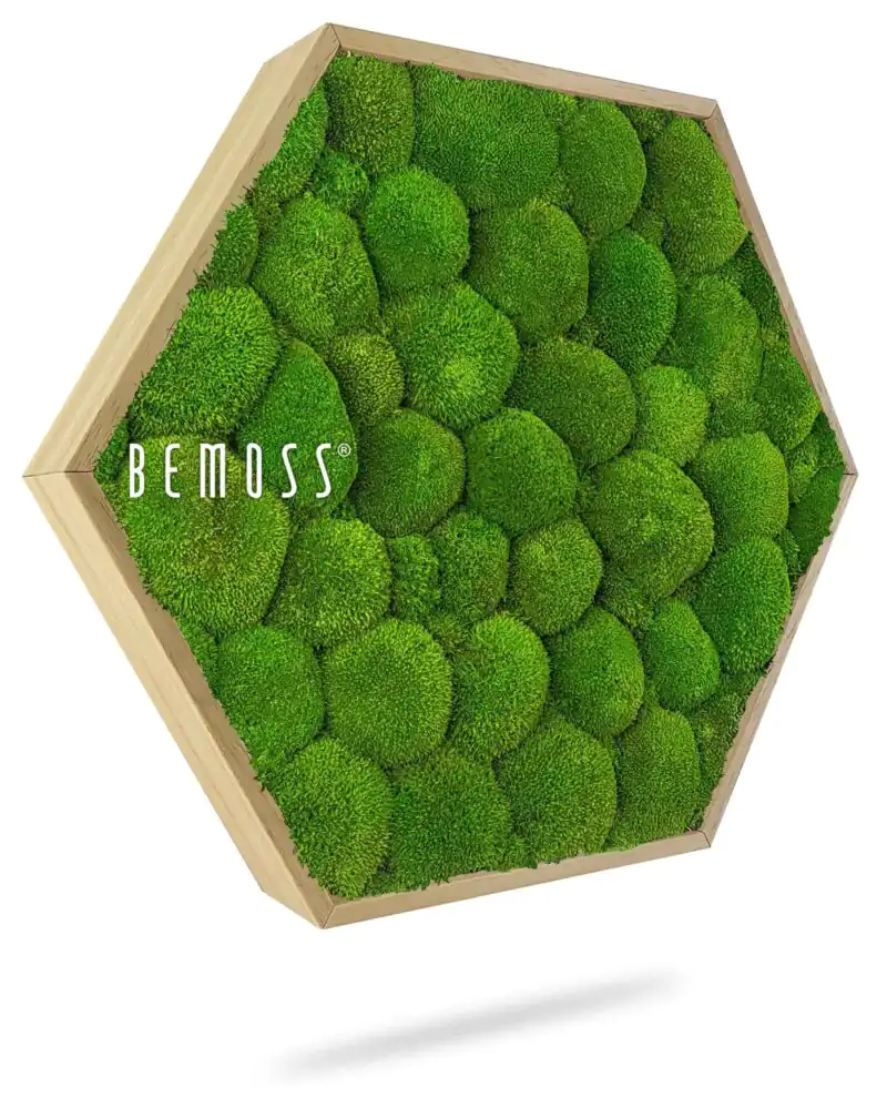 Moosbild Hexagon KUGELMOOS Light green