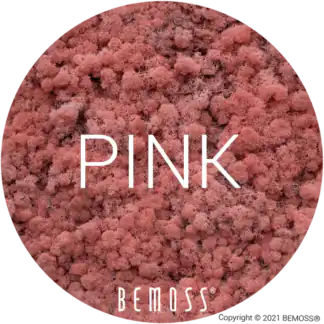 62 Pink