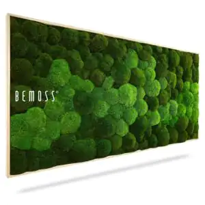 Moosbild KUGELMOOS DUO Natural Green