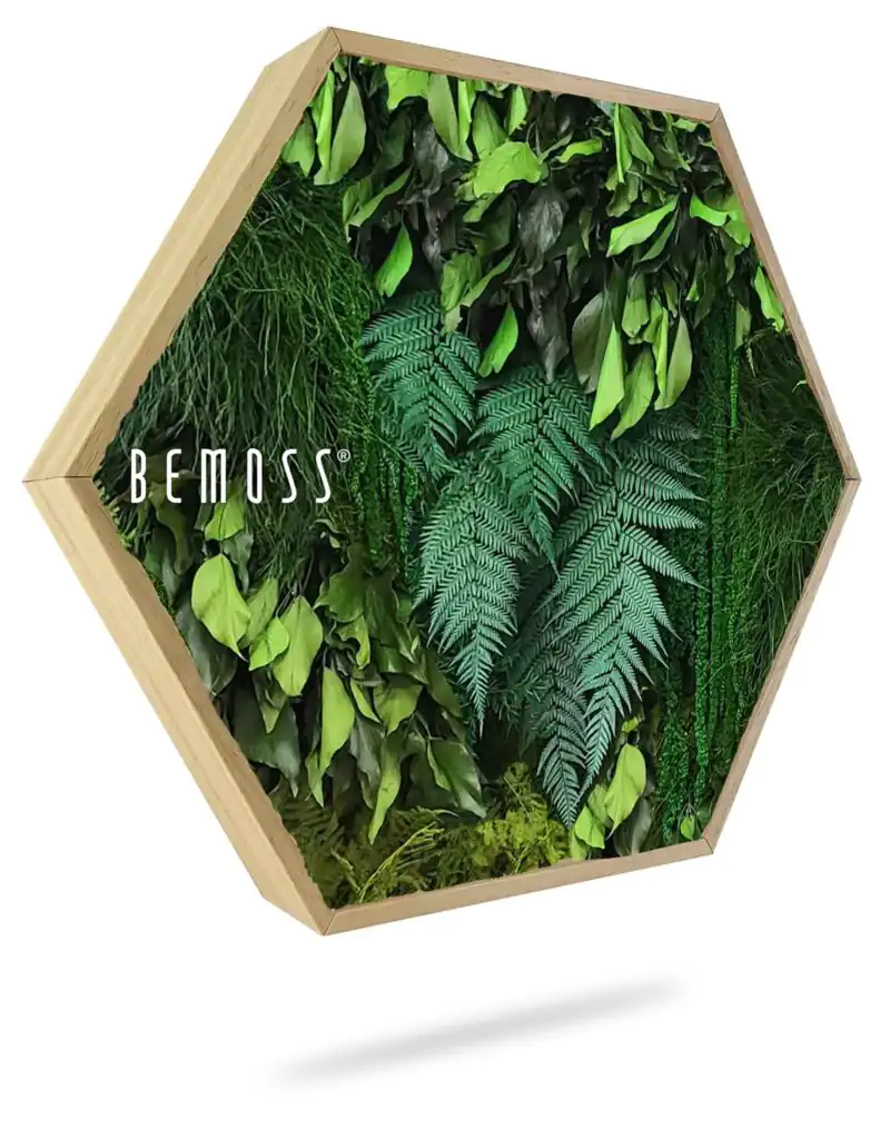 Moosbild Hexagon PFLANZEN Lapas