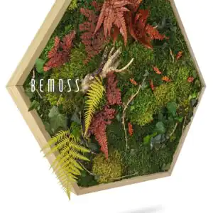 Moosbild Hexagon PFLANZEN Loreto - Thumbnail Image 1