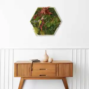 Moosbild Hexagon PFLANZEN Loreto - Thumbnail Image 2