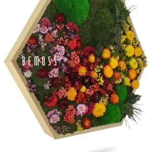 Moosbild Hexagon PFLANZEN Parra