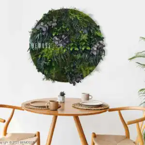 stôl s dvoma stoličkami a nad ním na stene rastlina, nad ktorou visí zelená stena, environmentálne umenie , machovy obraz, stabilizovany mach, machová stena, machová dekorácia