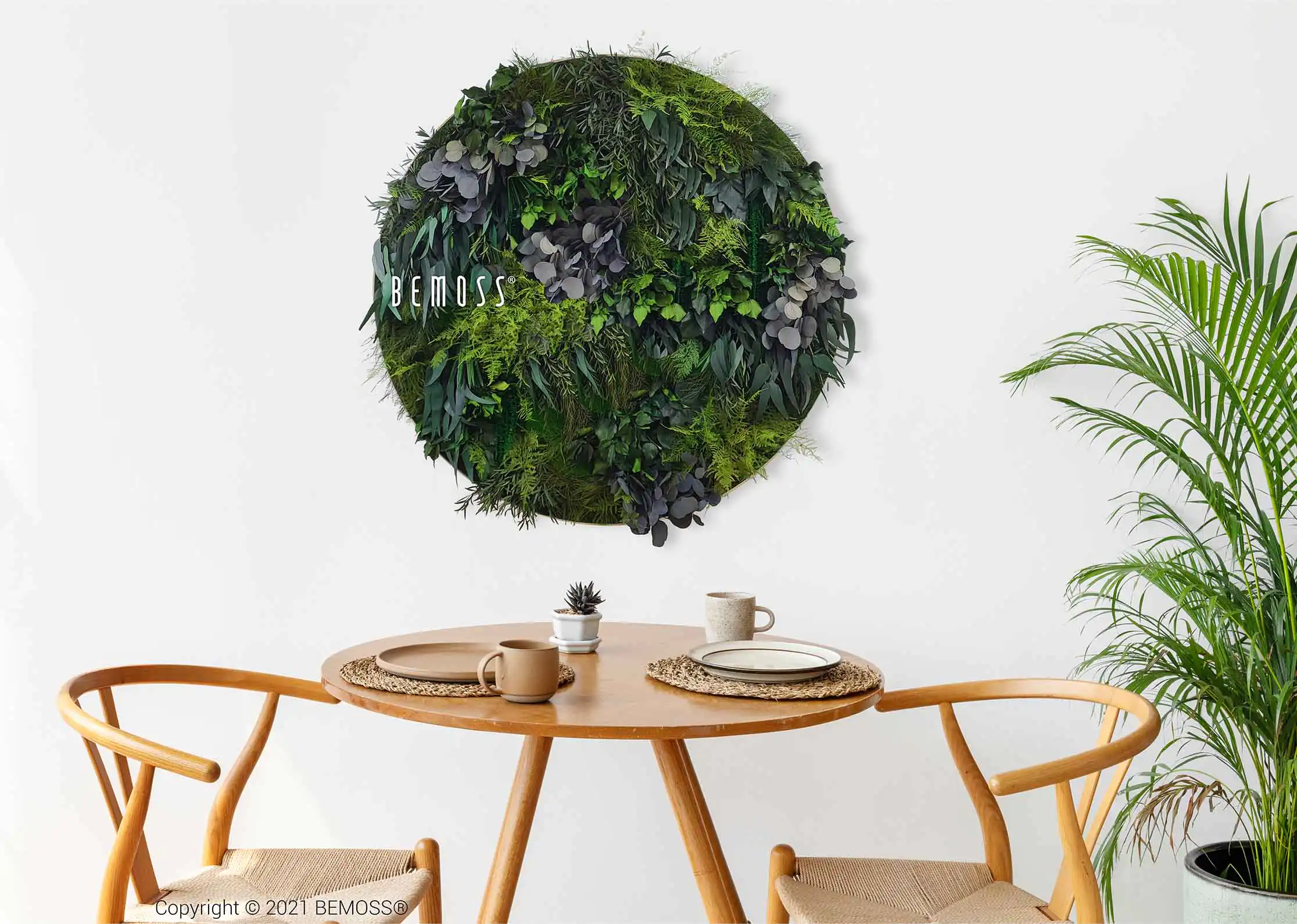 stôl s dvoma stoličkami a nad ním na stene rastlina, nad ktorou visí zelená stena, environmentálne umenie , machovy obraz, stabilizovany mach, machová stena, machová dekorácia