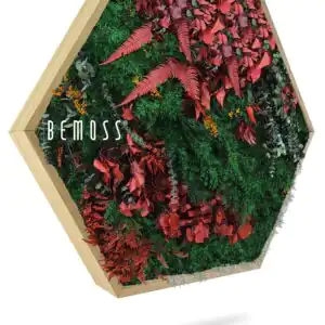 Moosbild Hexagon PFLANZEN Zorita - Thumbnail Image 1