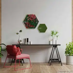 Moosbild Hexagon PFLANZEN Zorita - Thumbnail Image 2