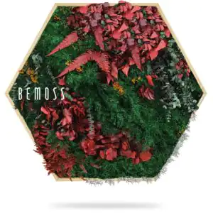 Moosbild Hexagon PFLANZEN Zorita - Thumbnail Image 3