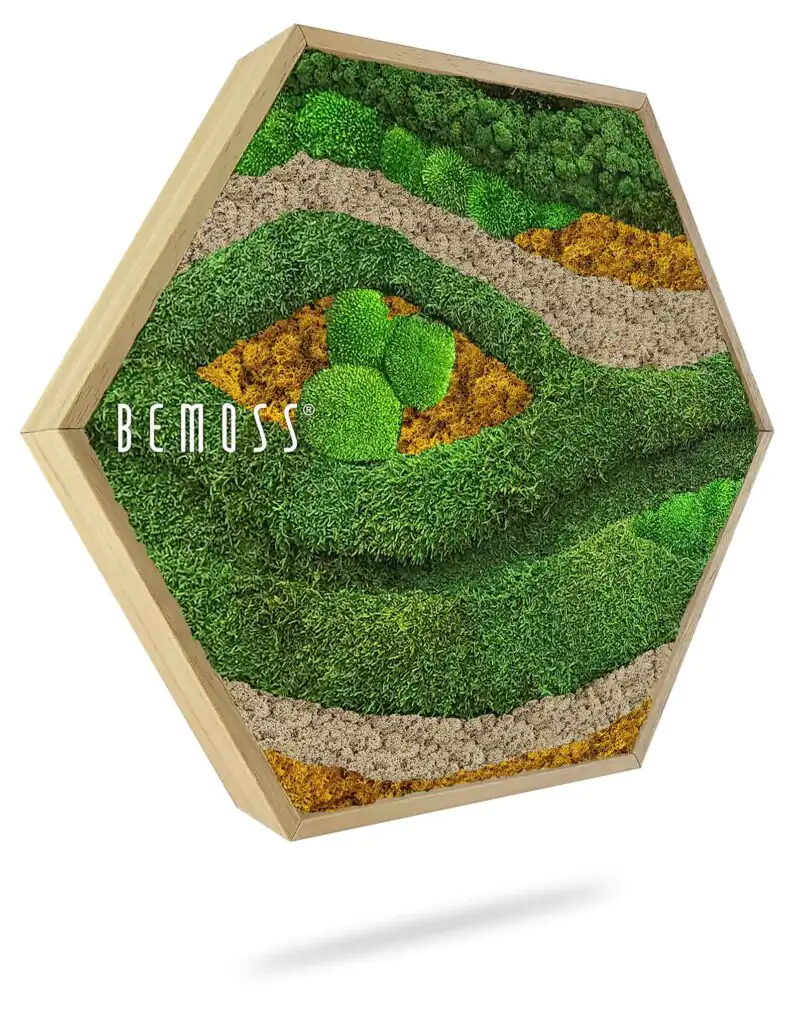 Moosbild Hexagon BEMOSS® ORTHO TOCÓN Autumn