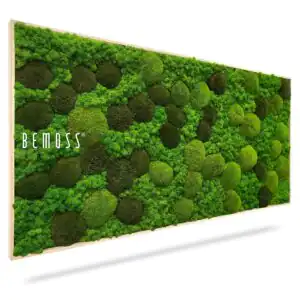 Moosbild BEMOSS® ORTHO MONETO